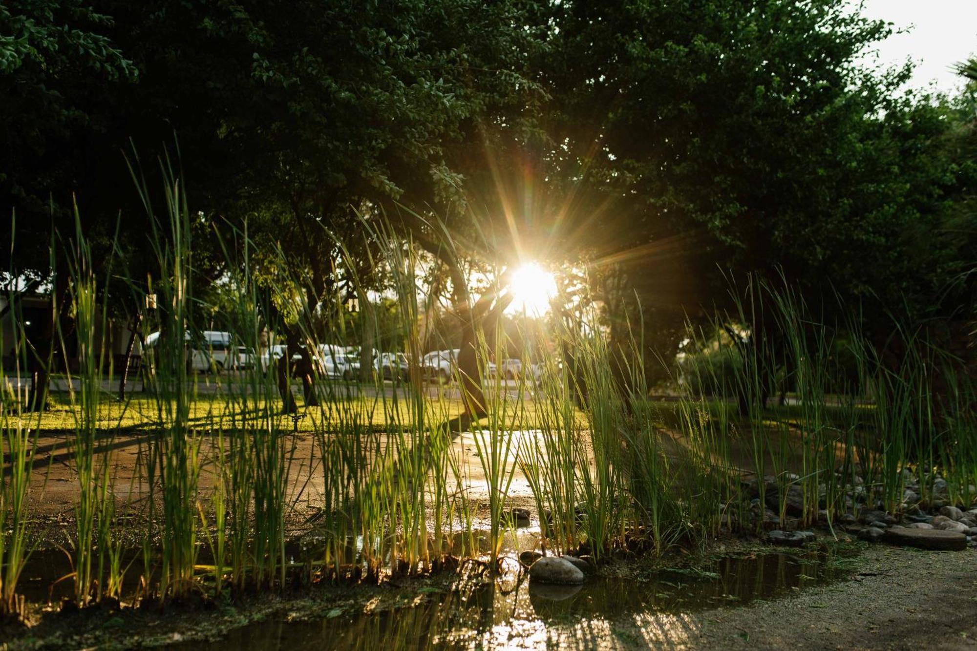 Upington African Vineyard Boutique Hotel & Spa Keimoes Exterior photo